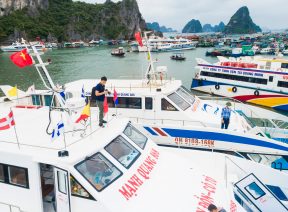 Tàu Mạnh Quang trên cảng Cái Rồng