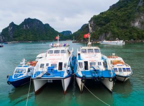 Tàu Mạnh Quang trên cảng Cái Rồng