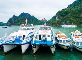 Tàu Mạnh Quang trên cảng Cái Rồng